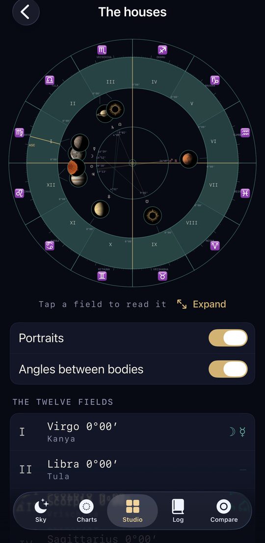 The twelve houses: a whole-sign chart wheel with planet portraits and the angles between bodies.