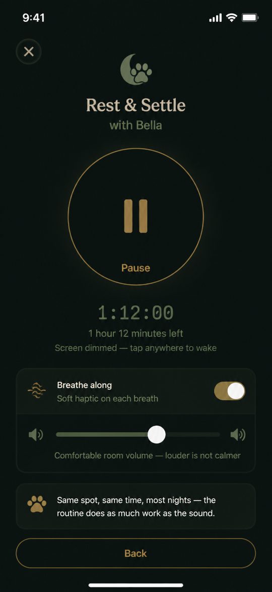 Rest and Settle playing, with a long timer, Breathe Along, and a volume slider.